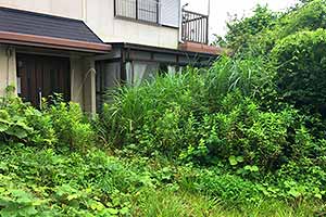 神戸市北区のお庭のお手入れ