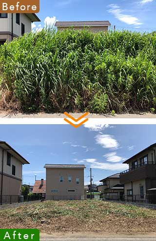 神戸市の草刈り